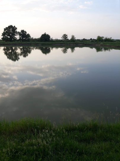 gallery/received_902322419939868